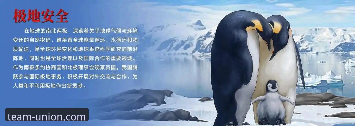 球盟会安全吗 安全基石与创新体验:球盟会体育平台深度解析