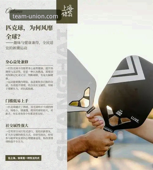 球盟会APP官网怎么下载 资深用户孙明远分享:解锁球盟会体育APP下载与高效使用全攻略