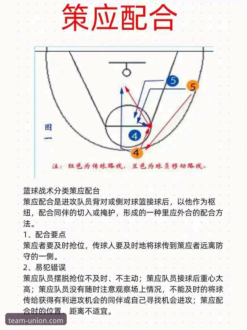 球盟会APP官网 中国女篮战术革新与关键球员表现详解