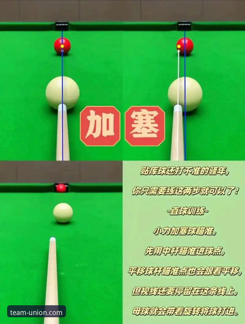 新手必看！球盟会官方下载评测的5个关键步骤与实用技巧